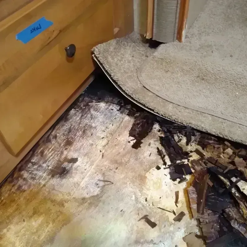 Wood Floor Water Damage in Maurice, LA